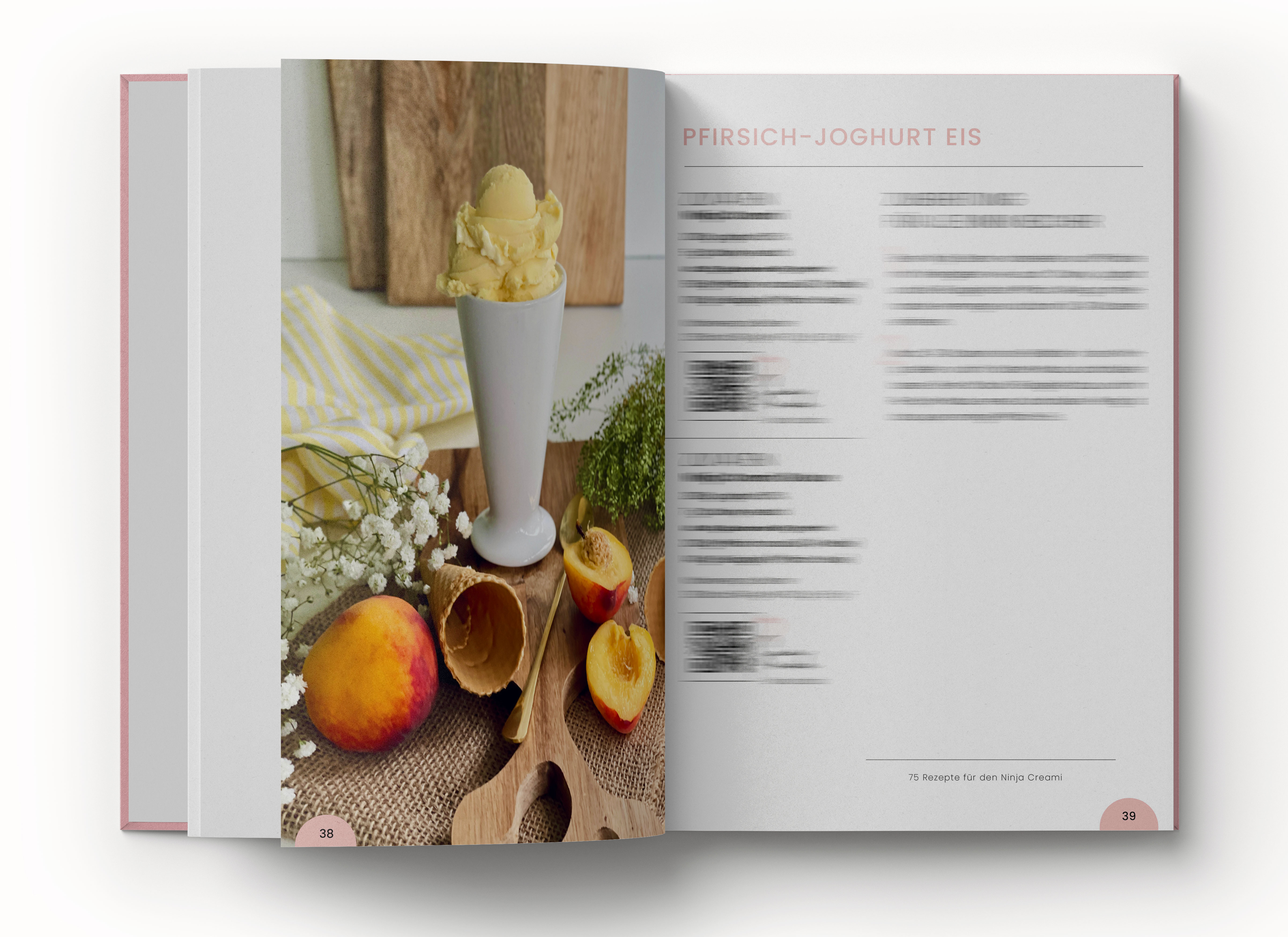 Hardcover + E-Book ( Kombi) >> 75 Ninja Creami Rezepte - mehr als nur eine Eismaschine (gedruckte + digitale Version) 